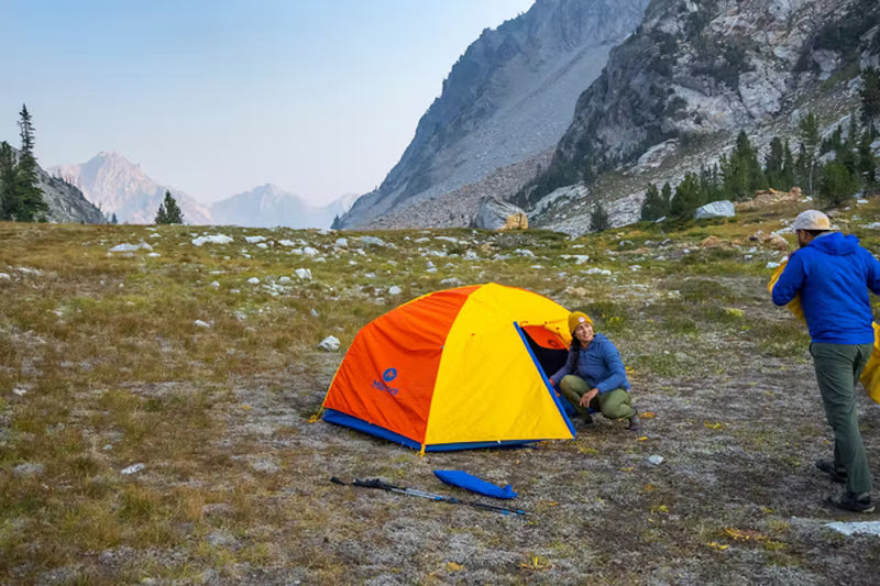 Load image into Gallery viewer, Limelight 2P
