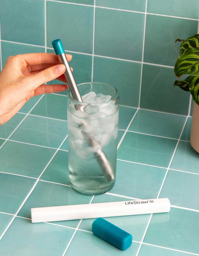 Load image into Gallery viewer, LifeStraw Sip Reusable Stainless-Steel Water Filter Straw

