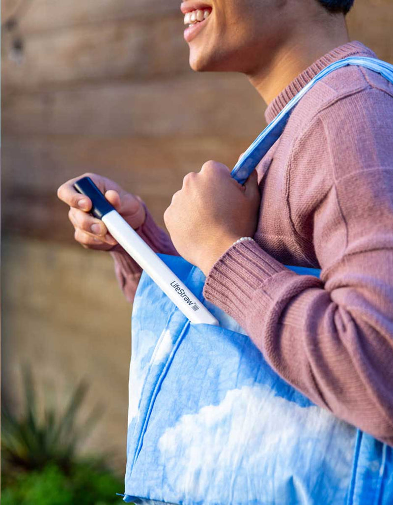 Load image into Gallery viewer, LifeStraw Sip Reusable Stainless-Steel Water Filter Straw
