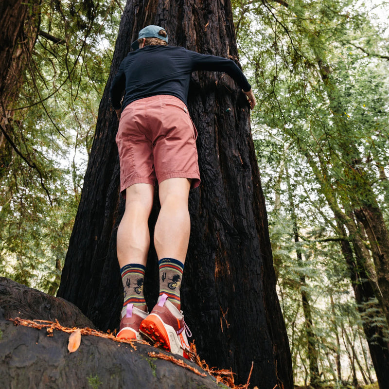 Load image into Gallery viewer, M's Willoughby Micro Crew Lightweight Hiking Sock
