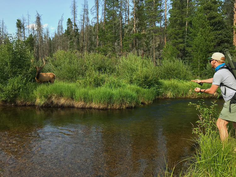 Hooked on the Wild