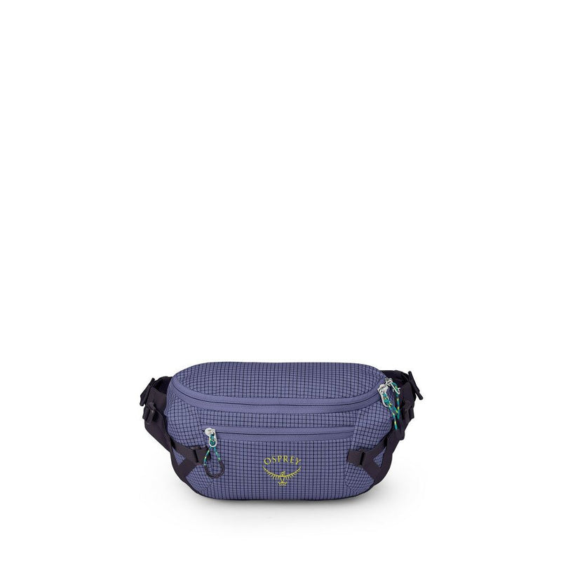 Load image into Gallery viewer, Transporter Waist Pack
