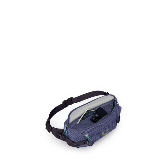 Transporter Waist Pack