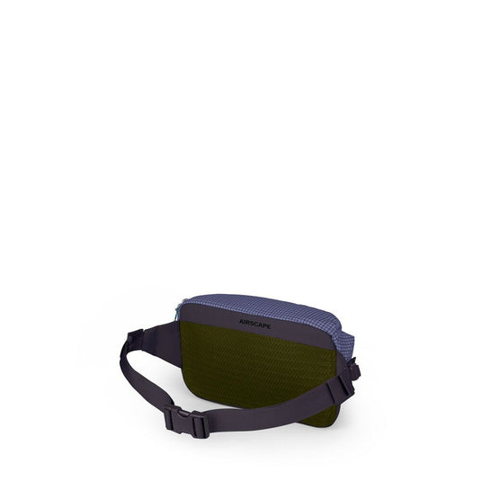 Transporter Waist Pack
