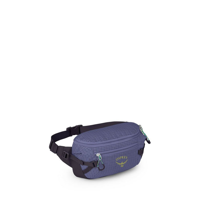 Load image into Gallery viewer, Transporter Waist Pack
