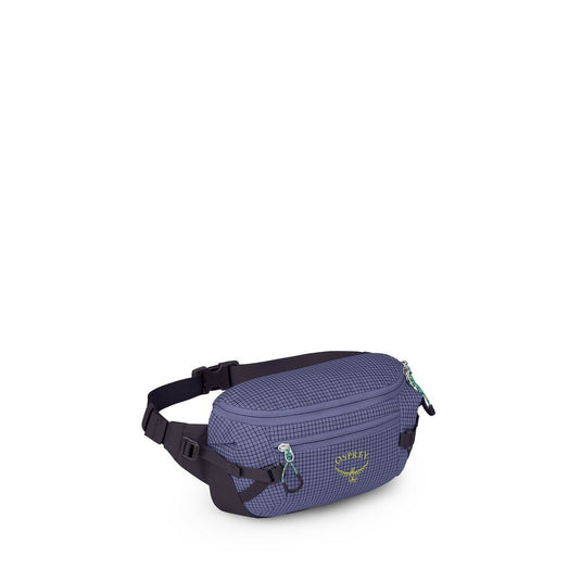 Transporter Waist Pack