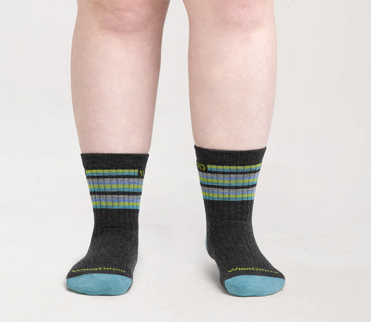 W’s Multi Stripe Cushioned Micro Crew Socks