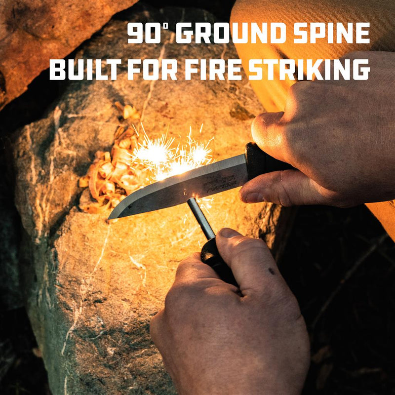 Load image into Gallery viewer, Companion Spark (S)
