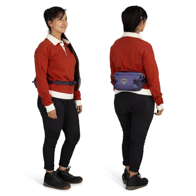 Load image into Gallery viewer, Transporter Waist Pack
